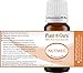 Nutmeg Essential Oil 10 ml 100% Pure Undiluted Therapeutic Grade.