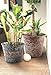 Metal Flower Pot Indoor and Outdoor Planters Galvanized Bucket - 2 Pack Garden Home Fall Decor for Halloween, 9 Inch, Silver