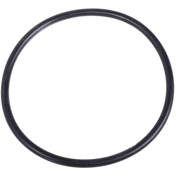 Amazon.com: GM Genuine Parts 89060047 Differential Bearing Shim  