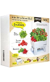 Huerto Urbano - Seed Box Picante - Batlle: Amazon.es: Jardín