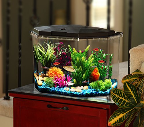 5 AquaView+6+5+Gallon+Power+Filter+Lighting