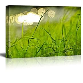 Beautiful Scenery Landscape Fresh Green Grass in a Park Beside a River - Canvas Art Wall Art - 12" x 18"