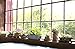 Window Garden Natural Elements Log Planter (Trunk) – Realistic Woodland-Themed with Intricate Weathered bark Detail. Grow Small Succulents, Cactus, African Violets. Striking in Any décor.