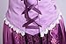 RED DOT BOUTIQUE 530 - Plus Size Purple Blue Princess Dress Party Costume Adult Women (Purple, 3X)