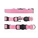 PUPTECK Soft Nylon Puppy ID Collar Adjustable Breakaway Whelping Litter Collars with Record Keeping Charts