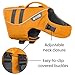 Ruffwear, Float Coat Dog Life Jacket for Swimming, Adjustable and Reflective, Wave Orange, Medium