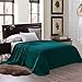 Exclusivo Mezcla Fleece Blanket for Bed, Super Soft and Warm Teal Queen Blankets, All Season Use, Cozy, Plush, Lightweight, 90x90 inches