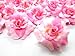 (24) Silk Two-tone Light Pink Roses Flower Head - 1.75
