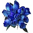 36 Stems - Fresh Cut Blue Lollipop Roses from Flower Explosion