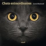 Chats extraordinaires by 