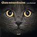 Chats extraordinaires by 
