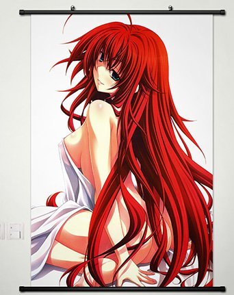 Amazon Com Wall Scroll Poster Fabric Painting For Anime High School