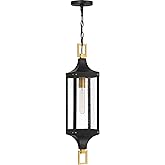 Savoy House 5-277-144 Glendale Vintage Traditional Clear Seeded Glass Outdoor Hanging Lantern, 1-Light 60 Watt, 28" H x 7" W,