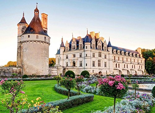 PigBangbang,20.6 X 15.1'' Premium Basswood Bright Colorful Art Pictures Jigsaw Puzzles Cartoon 500 piece Home Decoration-Chenonceau Chateau Castle Lawn