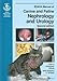 BSAVA Manual of Canine and Feline Nephrology and Urology