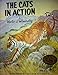 Cats in Action (How to Draw and Paint Series) by