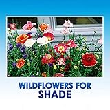 Partial Shade Wildflower Seeds Bulk - 8 Bonus Gardening eBooks + Open-Pollinated Wildflower Seed Mix Packet, Non-GMO, No Fillers, Annual, Perennial Wildflower Seeds Year Round Planting - 1 oz