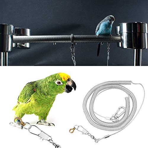 Bird Leash, Parrot Flying Training Rope for Small Birds African Grey Cockatoo Parakeet Cockatiel 6m Anti-bite Rope with 6.5mm Foot Ring
