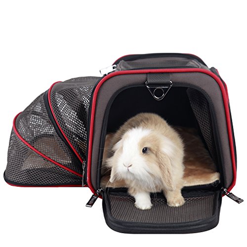 Petsfit 16