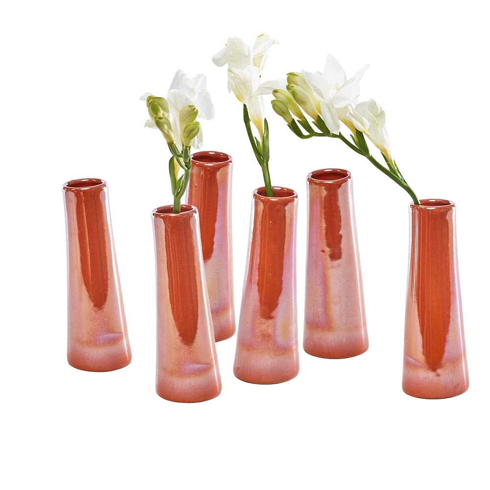 Chive - Set of 6 Galaxy, Small Cylinder Ceramic Bud Flower Vase, Unique Single Flower Decorative Floral Vase for Home Decor, Bulk (Orange)