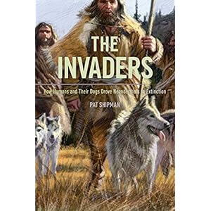 The Invaders
