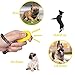 Hands Free Dog Leash 7in1, Training Treat Pouch, Dog Training Clicker, Jogging Dog Leash Handsfree, Reflective Shock Bungee Endure Up to 150 lbs Dual Handle Waist