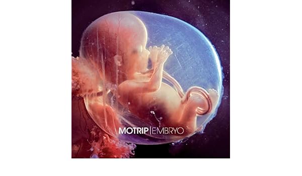 motrip albtraum mp3 motrip albtraum mp3