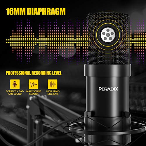 USB Micrófono de Condensador,Microfono para Micro Pc,Microphone con Soporte Microfono,Microfono Profesional, Microfonos para Grabar Brazo Microfono