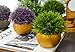 Vangold Lifelike Artificial Plants Plastic Grass Plants with Pots for Christmas Home/Office Decor (1pcs)