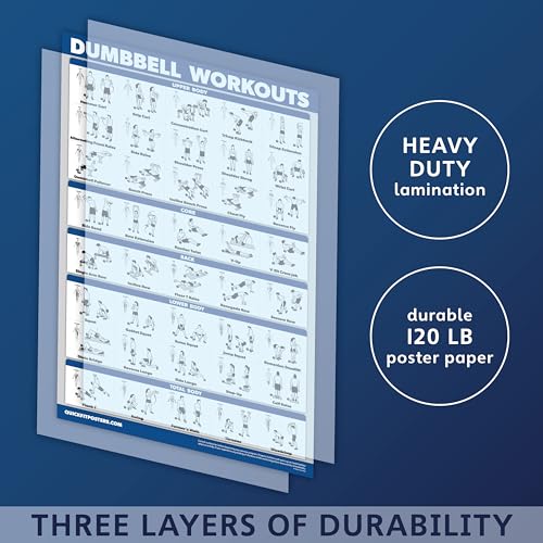 Palace Learning Dumbbell Workout Exercise Poster - Free Weight Body Building Guide | Home Gym Chart - LAMINATED, 18
