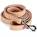Logical Leather 6 Foot Dog Leash - Best for Training - Heavy Full Grain Leather Lead - Tan
