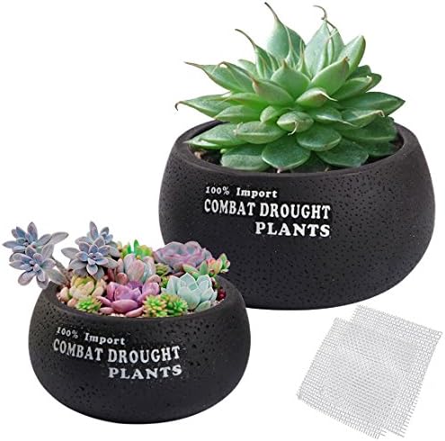 Happy Bonsai 2 Small Succulent Planters Cactus Pots + 2 Mesh Screens Value Set