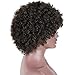 AISI HAIR Curly Wig Short Afro Kinkys Curly Hair Wig Natural Black Short Curly Wig African American Wigs Curly Afro Wig for Black Women