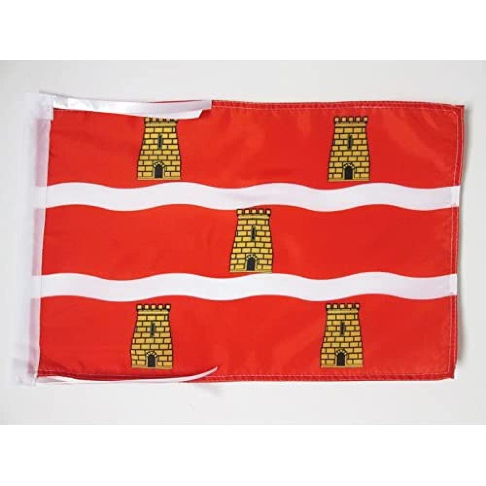AZ FLAG - Department of Deux-Sèvres Flag - 18'' x 12'' - 100% Polyester Deux-Sevres Small Banner with Two Cords - Fade Resistant - Vivid Colors - 18x12 in - 45x30 Cm