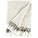 Amazon Brand – Rivet Modern Hand-Woven Stripe Fringe Throw Blanket, 50