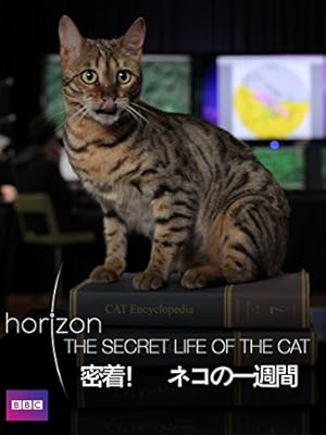飼い主「ネコが切れ痔になるu2026」→獣医「ワセリンをおしりに塗って 