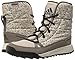 adidas Outdoor Women's CW Choleah Insulated CP Snow Boot