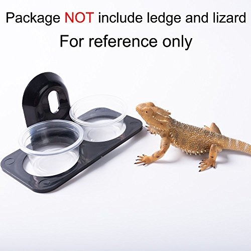 SLSON 100 Pack Gecko Food and Water Cups Gecko Ledge Replacement Cups Reptile Worm Bowl Mealworm Feed Feeder for Lizard Leopard Gecko Crested Gecko and Other Small Pets