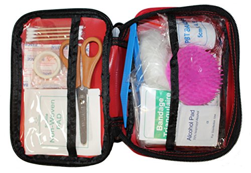 Labra Pet Dog Pet Travel Bag Carry On Luggage - Includes Bag, Pet First Aid Kit, Lined Food Containers, Collapsible Bowls and Placemat - Thumbnail 6