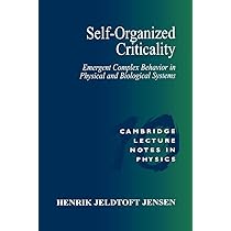 語学+参考書 How Nature Works: The Science of Self-Organized Criticality Self-Organized Criticality: Emergent Complex Behavior in