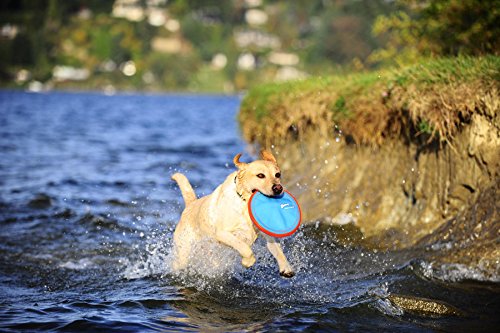 Chuckit! Paraflight Flying Disc Dog Toy - Water Floating Flyer - Durable Nylon Construction with Soft Rubber Edges - For Medium and Large Dogs - Size Large - 9.75
