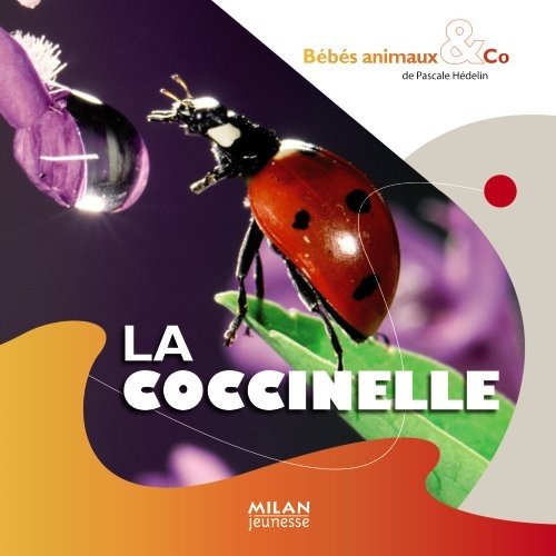 La  coccinelle