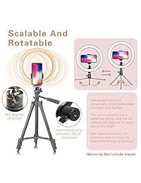 Anillo de luz LED de 10.0 in con soporte de trípode y soporte para teléfono para transmisión en directo y vídeo de YouTube, regulable para escritorio, luz de maquillaje para fotografía, grabación con 3 modos de luz y 10 niveles de brillo