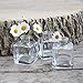 CHIVE ‘Loft’ Small Mini Flower Vases - Clear Glass Bud Vases, Set of 10 - Cute Vintage Rustic Centerpieces for Wedding, Events & Home - Premium Quality, Designed to Last