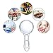 Blulu 12 Piece Page Magnifiers 6X Magnification Handheld Plastic Magnifying Glasses Portable Reading Magnifiers