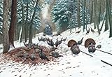 SunsOut Winter Turkey Tracks 500 pc Jigsaw Puzzle -Turkey theme