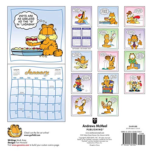 Garfield 2021 Wall Calendar: Idle Thoughts | Pricepulse