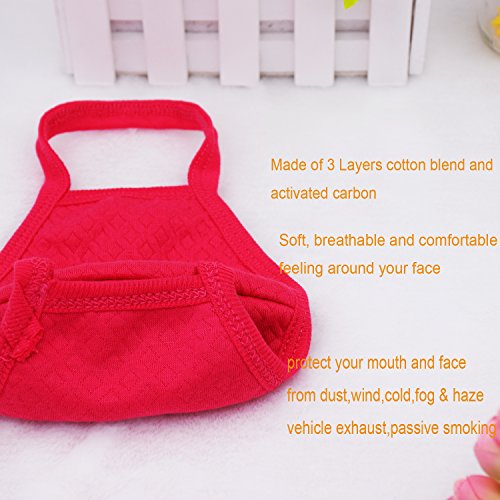 3 Pcs Activated Carbon Anti Dust Face Mouth Mask, WITERY Warm Anti Dust Mask Anti-fog Mask Antibacterial Activated Carbon Earloop Mouth Mask Face Masks for Men Women - Thumbnail 3