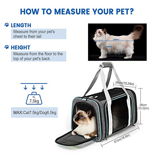 CATISM Cat Carrier,Airline Approved Pet Carriers,Collapsible 15 Lbs - Bearing Dog Carriers, 3 Openable mesh Windows and Escape-Proof Buckle for Pet\'s Journey Safe and Comfortable