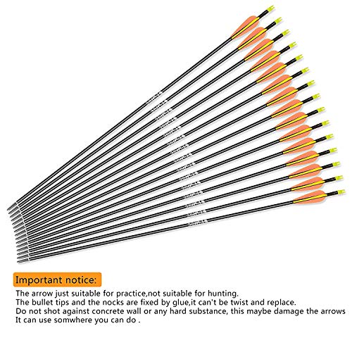 WDLHQC 30inch Fiberglass Arrow for Recurve and Compound Bow Hunting and Practice Hunting - Thumbnail 4